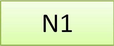 N1